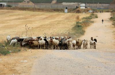 240522_GAZA_ASH_00 (3).jpg