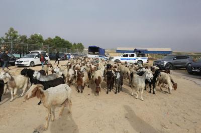 240522_GAZA_ASH_00 (13).jpg