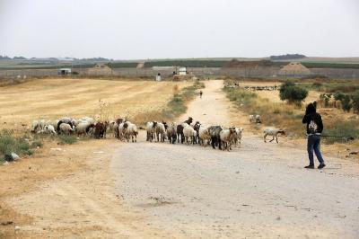 240522_GAZA_ASH_00 (4).jpg