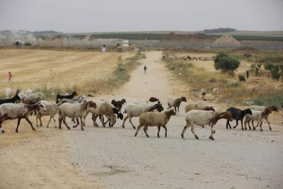 240522_GAZA_ASH_00 (7).jpg