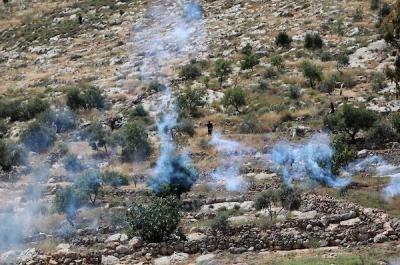 060522_NABLUS_WAFA_00 (1).jpg