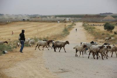 240522_GAZA_ASH_00 (9).jpg