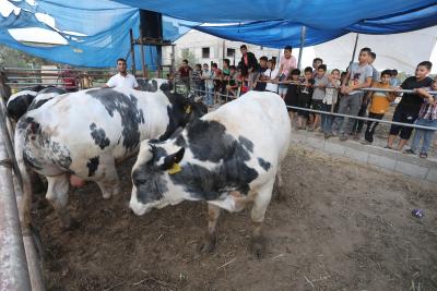 170622_KHANYOUNIS_ASH_00 (20).jpg