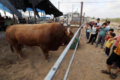 170622_KHANYOUNIS_ASH_00 (17).jpg