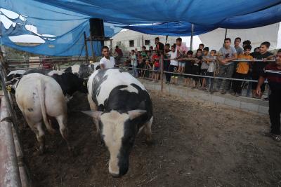 170622_KHANYOUNIS_ASH_00 (19).jpg