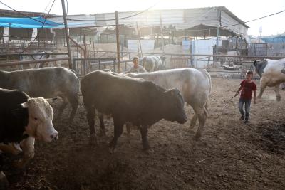 170622_KHANYOUNIS_ASH_00 (26).jpg