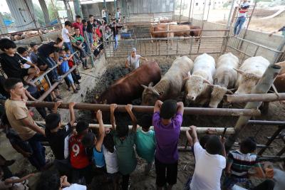 170622_KHANYOUNIS_ASH_00 (24).jpg