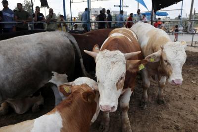 170622_KHANYOUNIS_ASH_00 (16).jpg