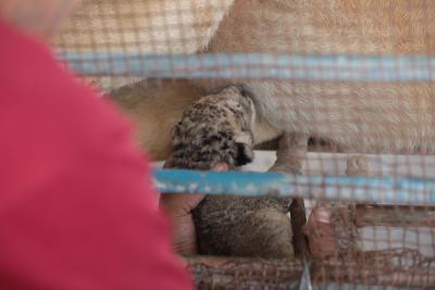 130822_GAZA_ASH_00 (35).jpg