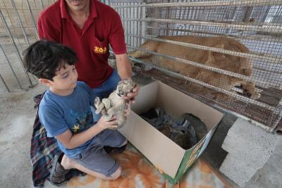 130822_GAZA_ASH_00 (91).jpg