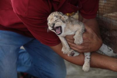 130822_GAZA_ASH_00 (69).jpg