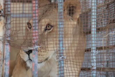 130822_GAZA_ASH_00 (92).jpg