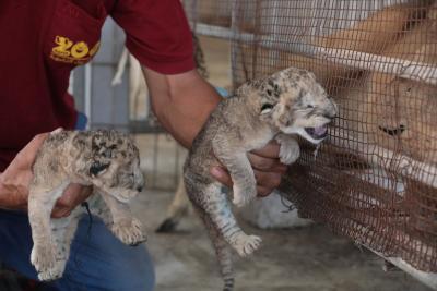 130822_GAZA_ASH_00 (71).jpg