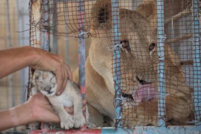 130822_GAZA_ASH_00 (24).jpg