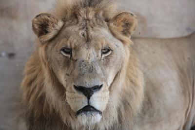 130822_GAZA_ASH_00 (31).jpg