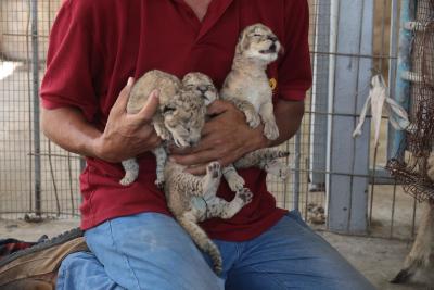 130822_GAZA_ASH_00 (57).jpg