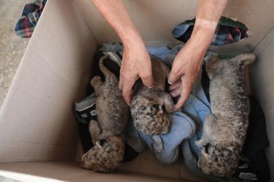 130822_GAZA_ASH_00 (76).jpg