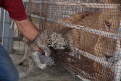 130822_GAZA_ASH_00 (72).jpg