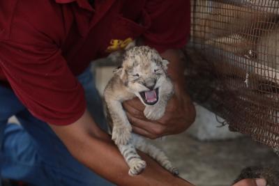 130822_GAZA_ASH_00 (70).jpg