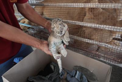 130822_GAZA_ASH_00 (87).jpg