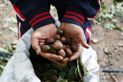 271122_GAZA_AA_00 (16).jpg