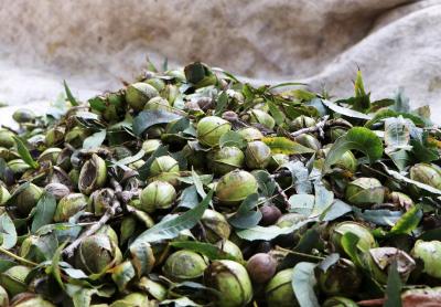 271122_GAZA_AA_00 (20).jpg