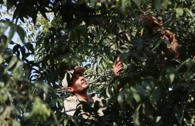 271122_GAZA_AA_00 (28).jpg