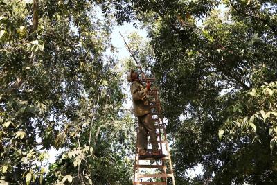 271122_GAZA_AA_00 (24).jpg