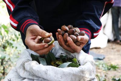 271122_GAZA_AA_00 (17).jpg