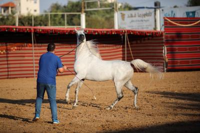 111122_GAZA_MAJ_00 (24).jpg