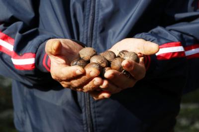 271122_GAZA_AA_00 (12).jpg