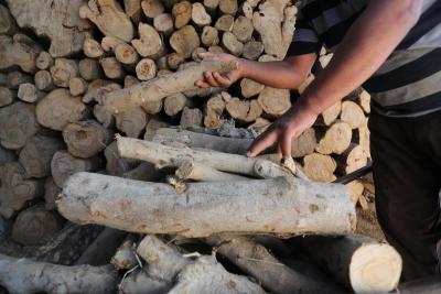 191122_KHANYOUNIS_ASH_00 (39).jpg