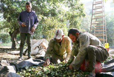 271122_GAZA_AA_00 (21).jpg