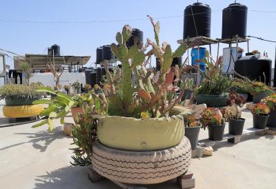 080423_DERIALBALAH_OD_00 (48).jpg