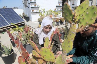 080423_DERIALBALAH_OD_00 (59).jpg