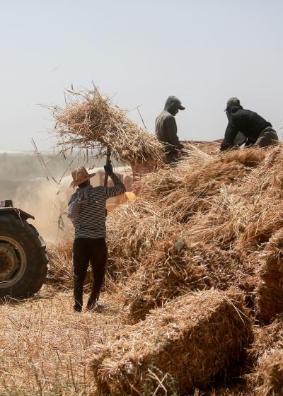 200523_GAZA_MD_00 (17).jpg