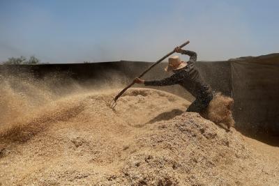 200523_GAZA_MD_00 (11).jpg