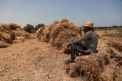 200523_GAZA_MD_00 (16).jpg