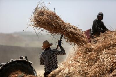 200523_GAZA_MD_00 (20).jpg