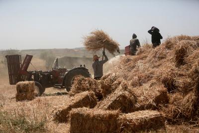 200523_GAZA_MD_00 (18).jpg