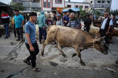 230623_GAZA_ZU_00 (4).jpg