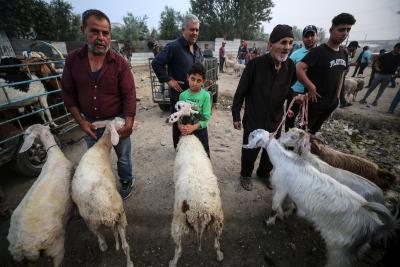 230623_GAZA_ZU_00 (1).jpg