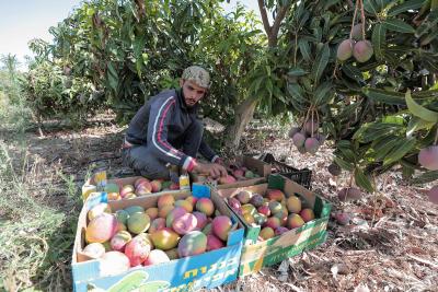 020923_GAZA_AD_00 (14).JPG