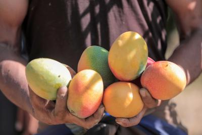 020923_GAZA_AD_00 (36).jpg