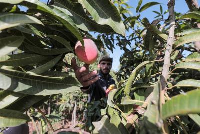 020923_GAZA_AD_00 (9).JPG