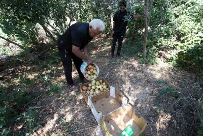 030923_GAZA_OSH_00 (25).jpg