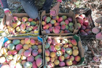 020923_GAZA_AD_00 (15).JPG