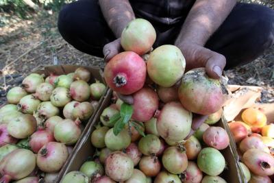 030923_GAZA_OSH_00 (33).jpg