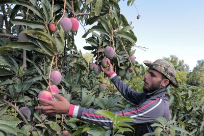 020923_GAZA_AD_00 (7).JPG