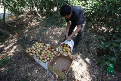 030923_GAZA_OSH_00 (31).jpg